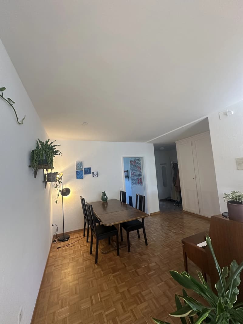 WG-Zimmer in Bern (2)