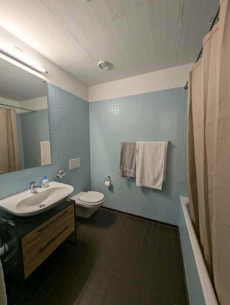 WG-Zimmer in Zürich (5)