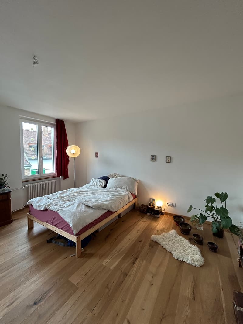 WG-Zimmer in Basel (8)