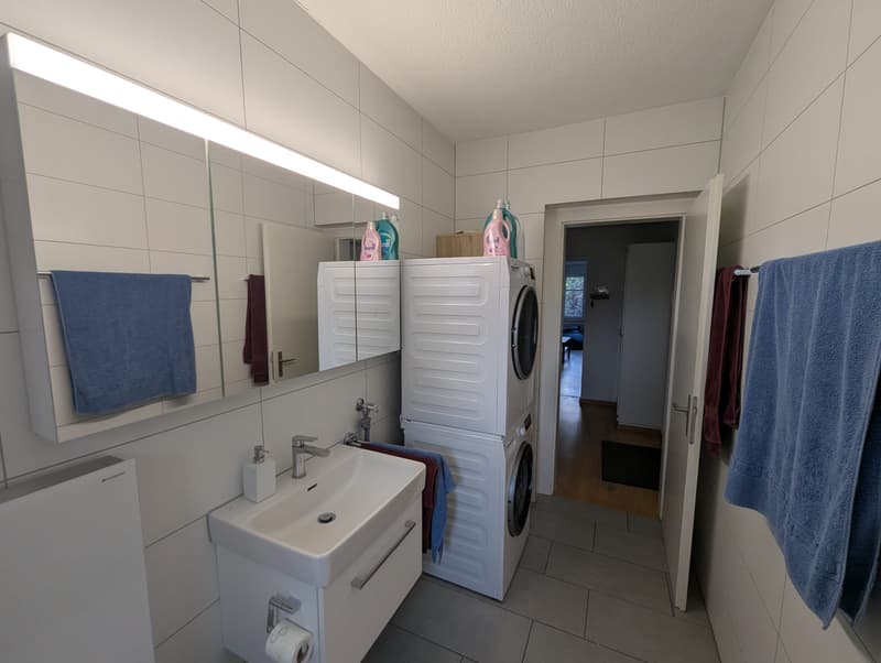 Room in shared flat in Zürich (4)