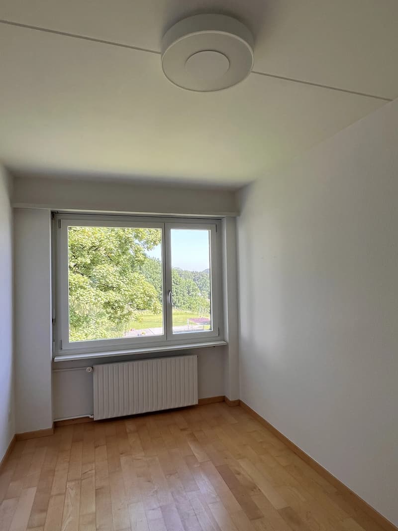 WG-Zimmer in Adliswil (1)