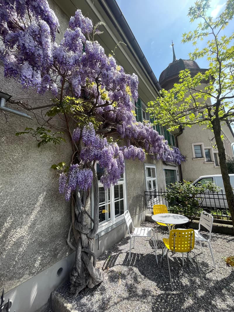 WG-Zimmer in Malans GR (5)