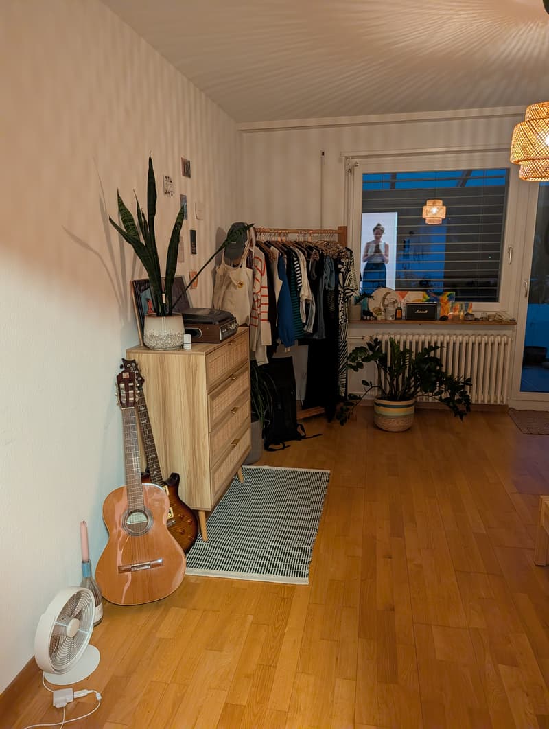 WG-Zimmer in Zürich (1)