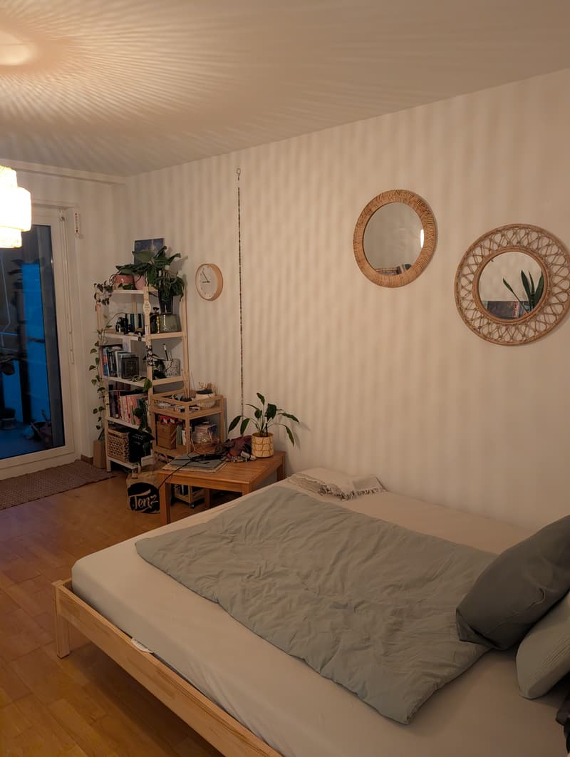 WG-Zimmer in Zürich (2)