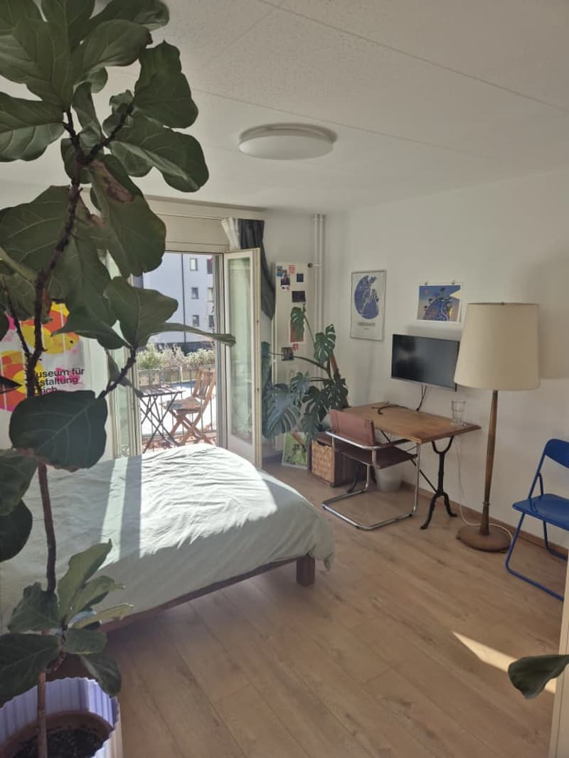 Chambre en colocation à Lausanne (4)