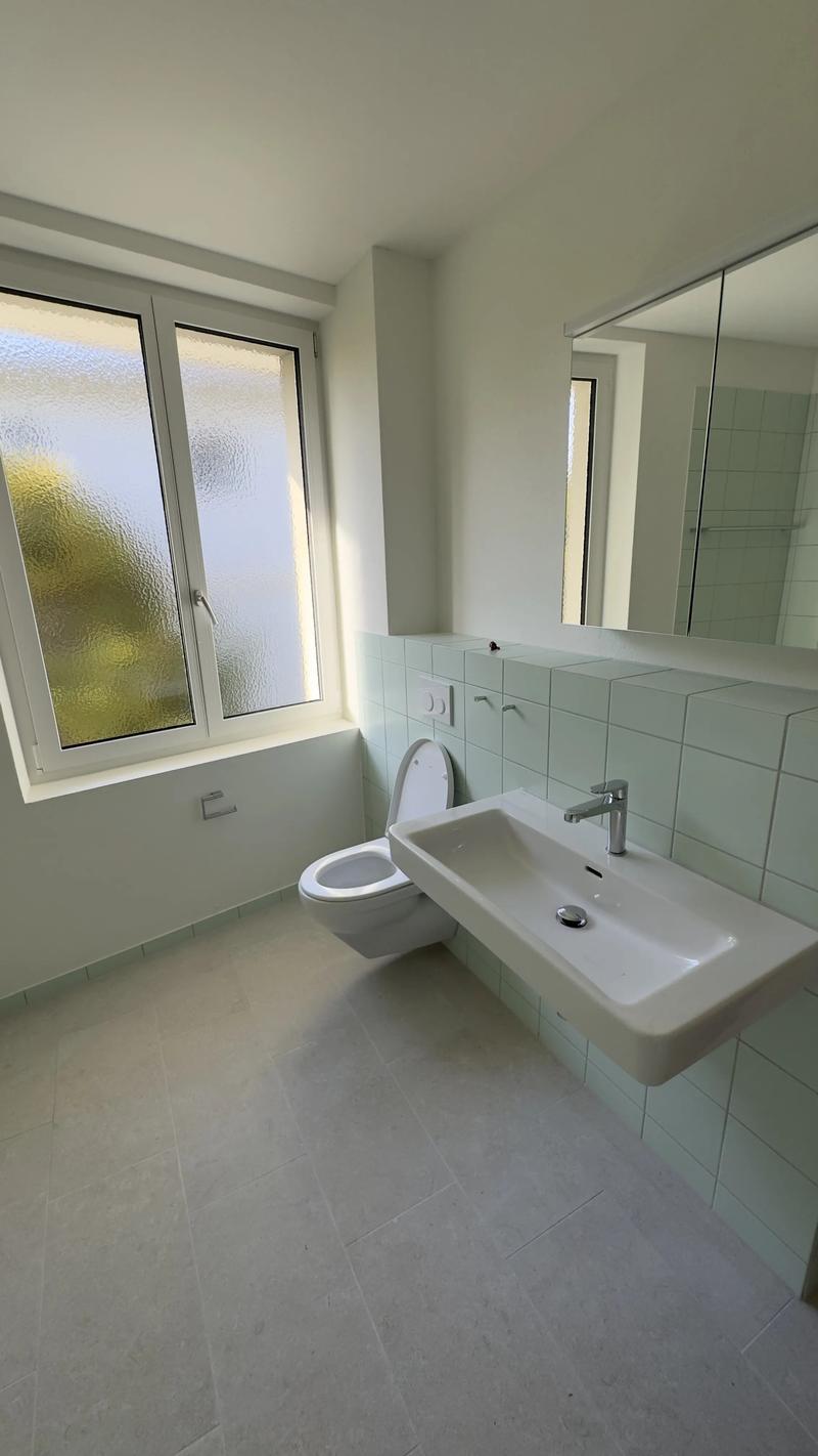WG-Zimmer in Zürich (15)