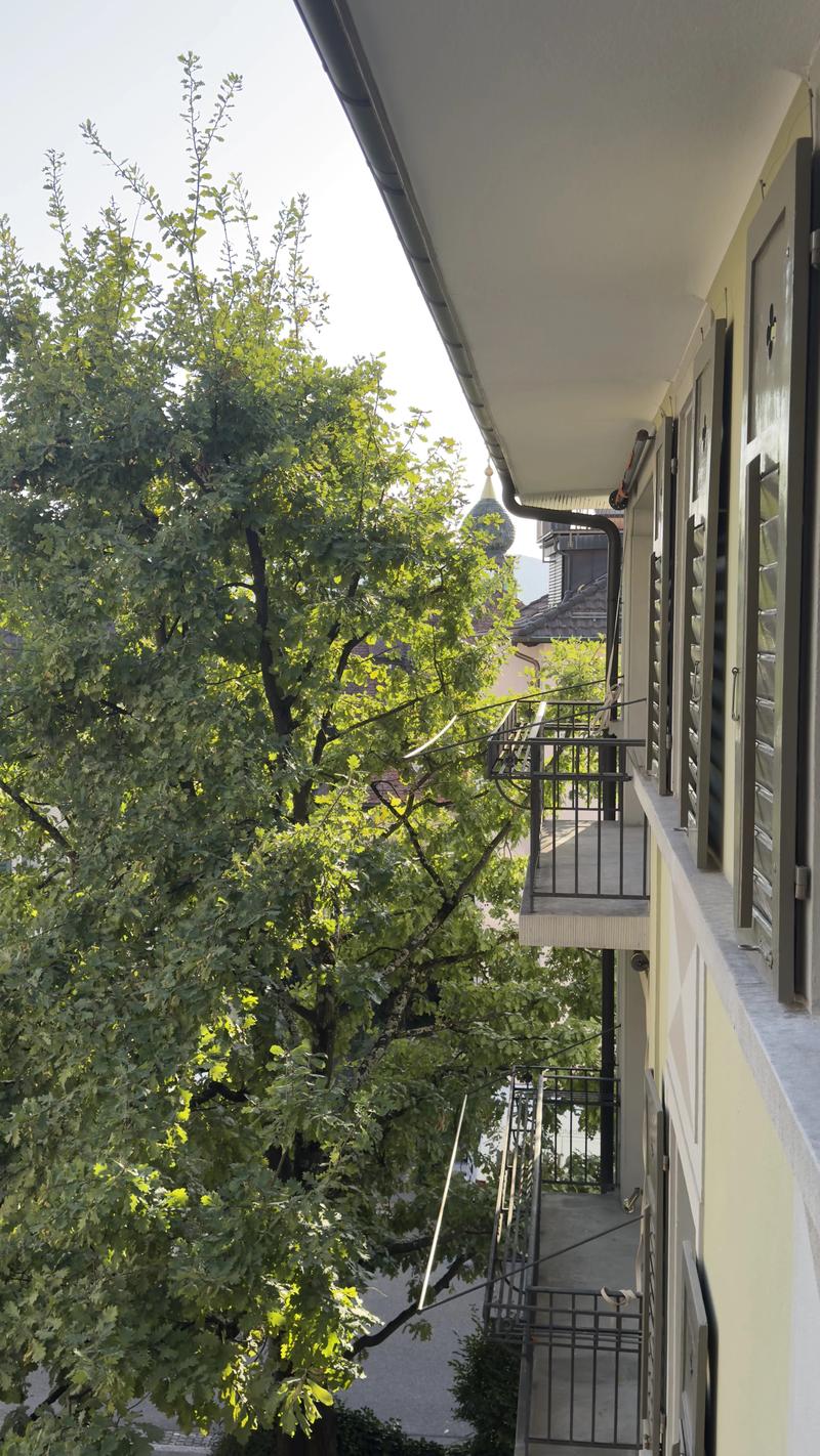 WG-Zimmer in Zürich (11)