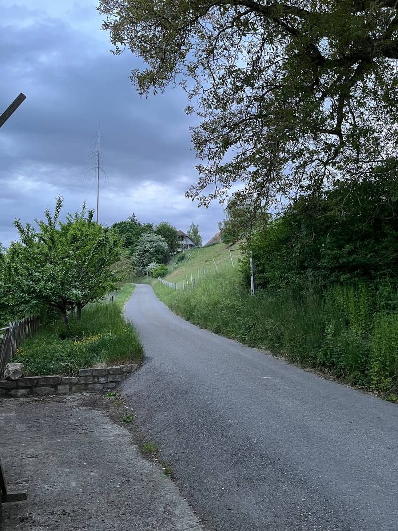 WG-Zimmer in Schüpfen (14)