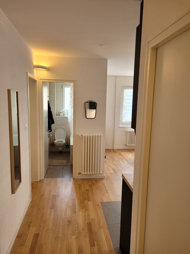 Chambre en colocation à Renens VD (9)