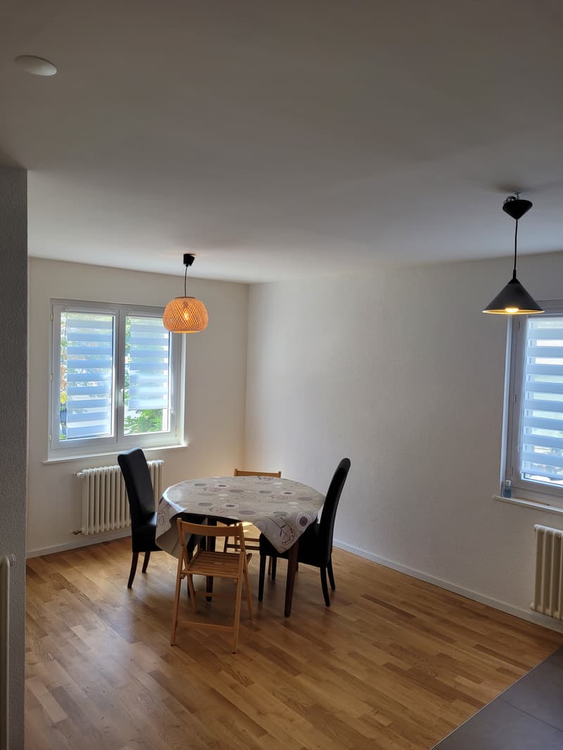 Chambre en colocation à Renens VD (14)
