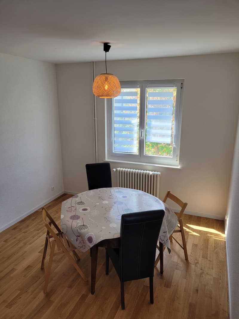 Chambre en colocation à Renens VD (13)