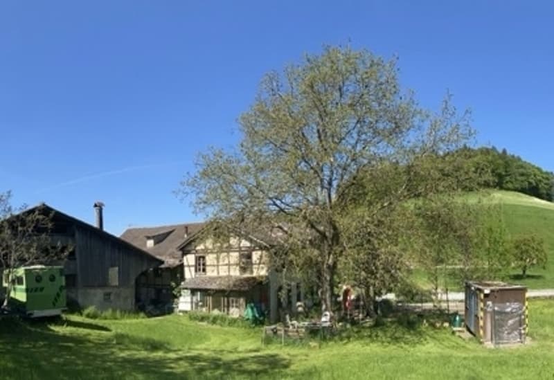 WG-Zimmer in Ursenbach (1)