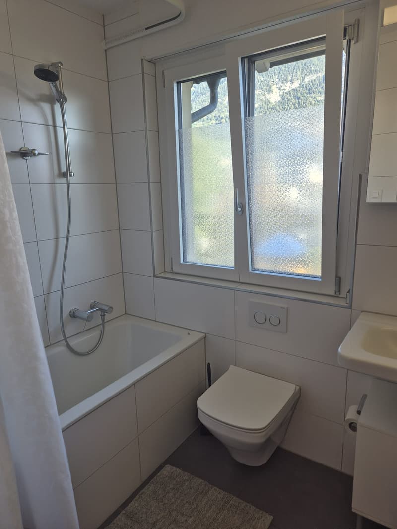 WG-Zimmer in Alpnach Dorf (5)