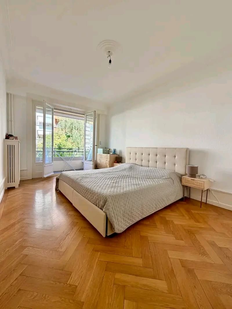 Appartement à Genève (1)