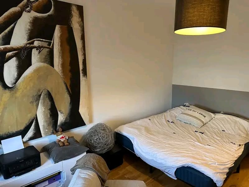 Appartement meublé à Genève (1)