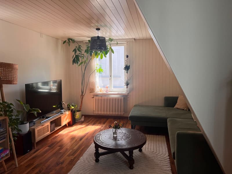 WG-Zimmer in Winterthur (4)