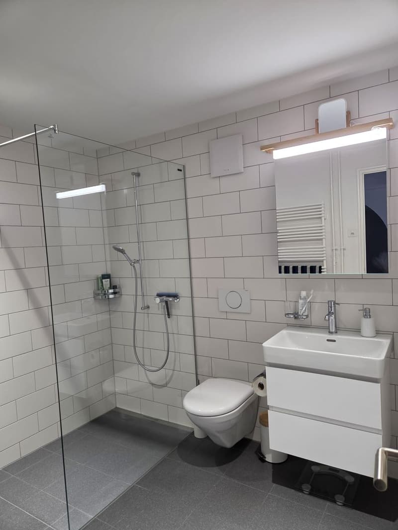 WG-Zimmer in Bern (8)