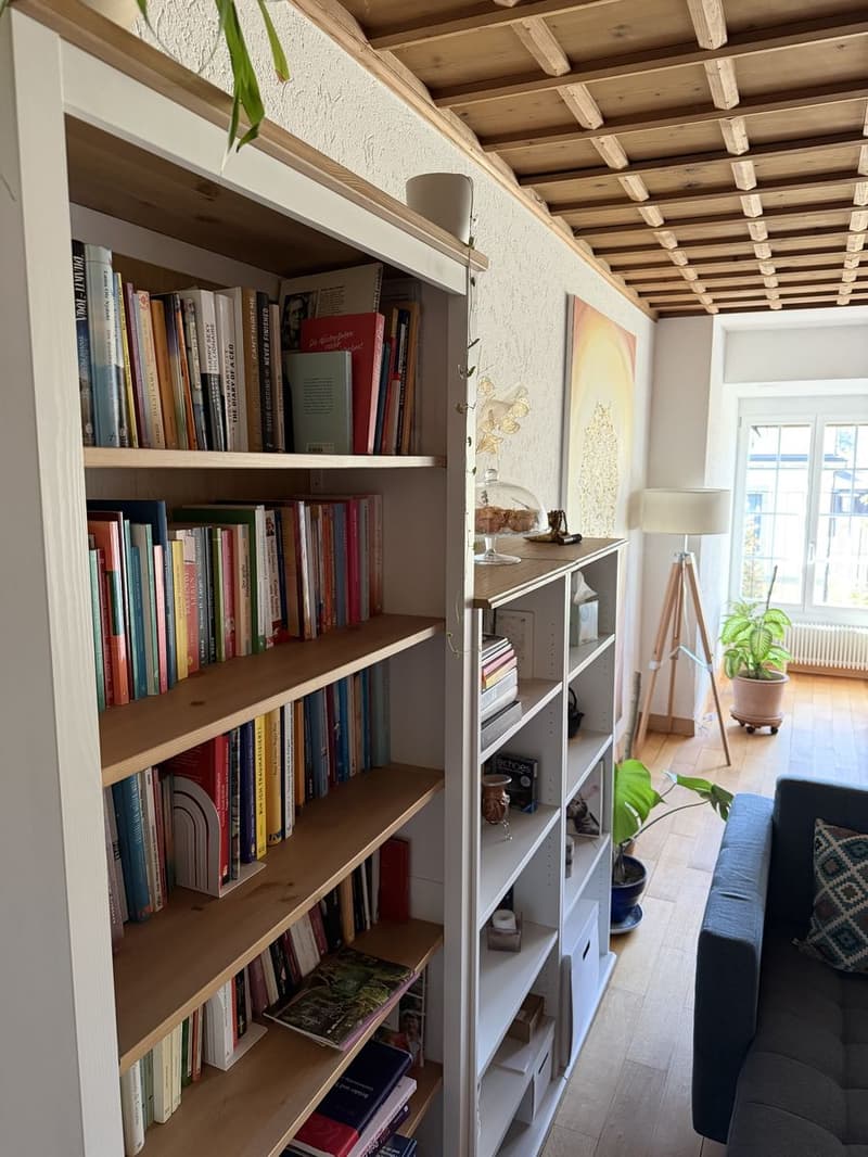 WG-Zimmer in Bern (12)