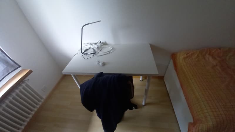 WG-Zimmer in Schmerikon (3)
