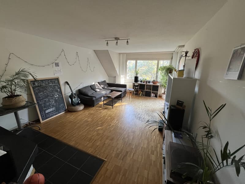 Room in shared flat in Zürich (1)