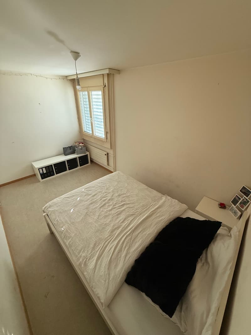 WG-Zimmer in Winterthur (2)
