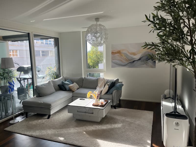 WG-Zimmer in Uster (3)