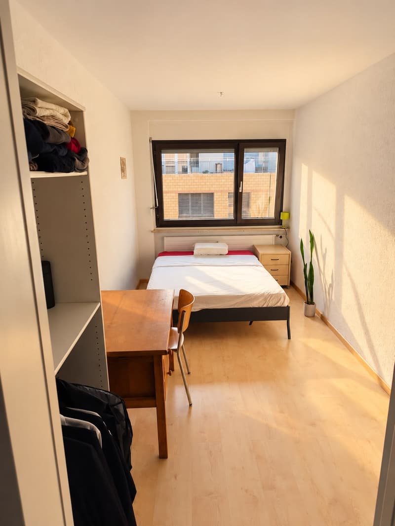 Chambre en colocation à Basel (5)