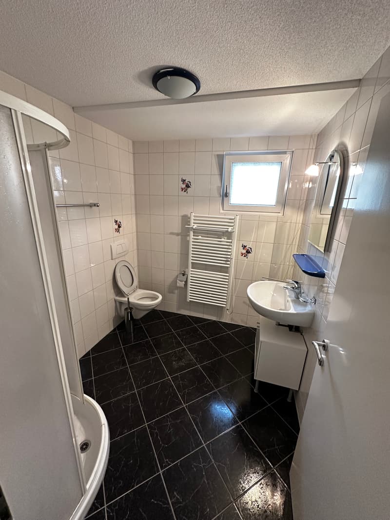 Room in shared flat in Dietikon (6)