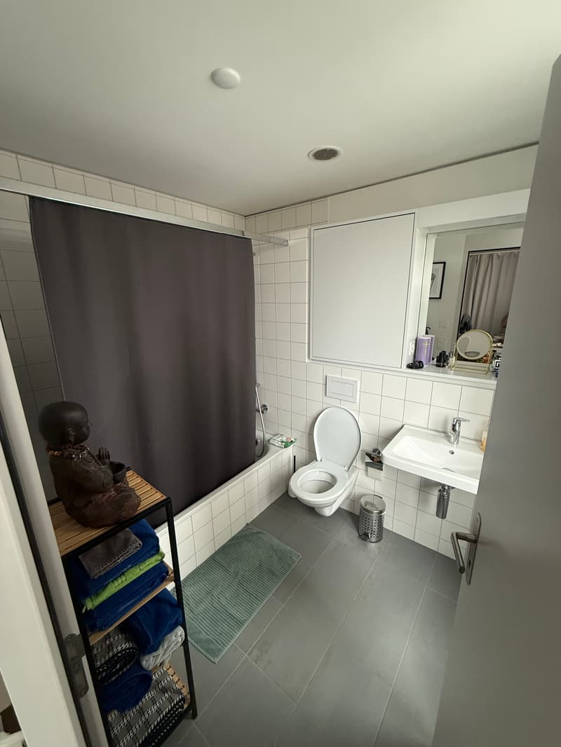 WG-Zimmer in Zürich (3)