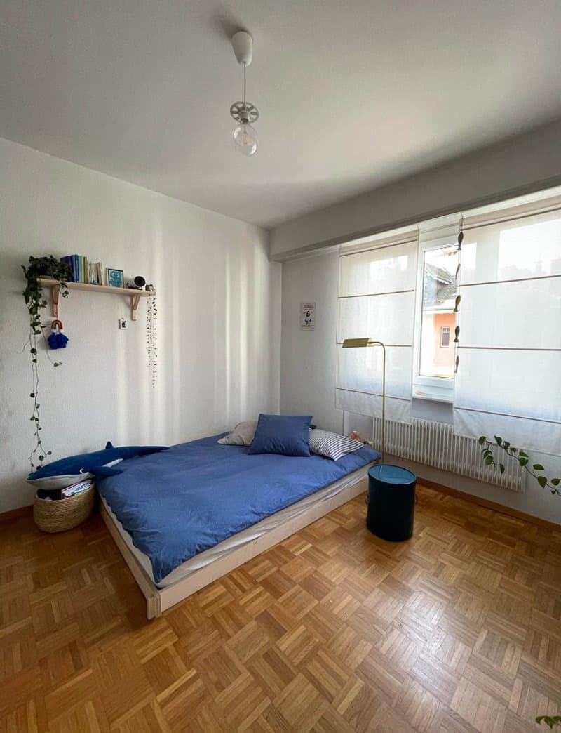 Chambre en colocation à Zürich (2)