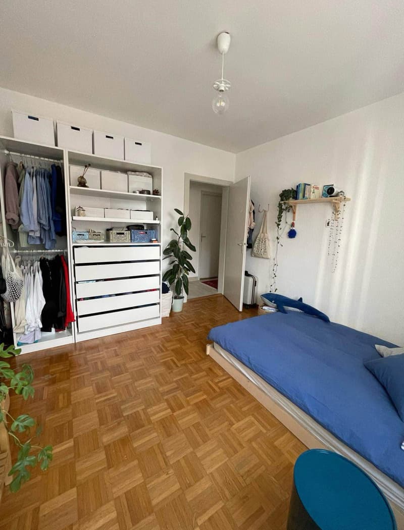 Chambre en colocation à Zürich (1)