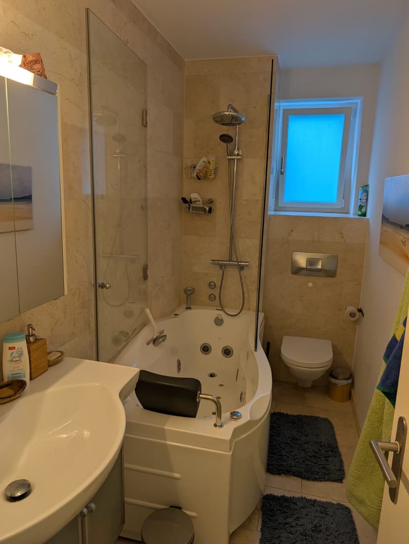 Room in shared flat in Zürich (5)
