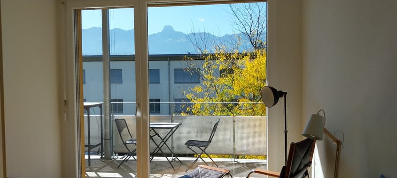 WG-Zimmer in Thun (3)