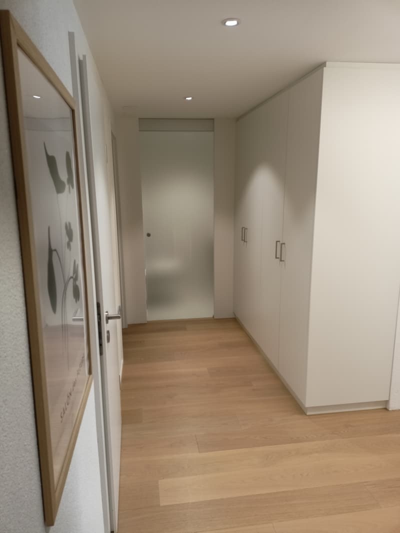 WG-Zimmer in Walchwil (5)