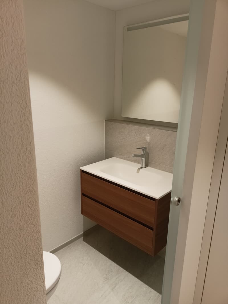 WG-Zimmer in Walchwil (6)