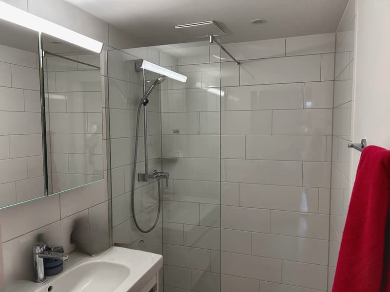 WG-Zimmer in Zürich (5)