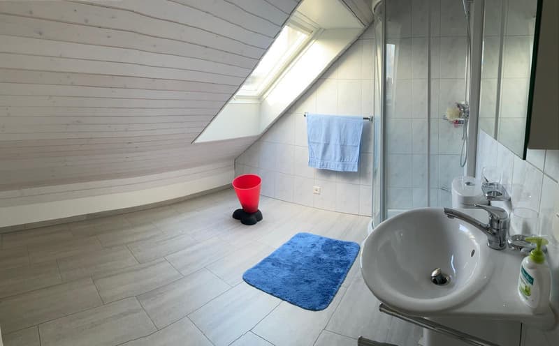 Room in shared flat in Steinhausen (3)