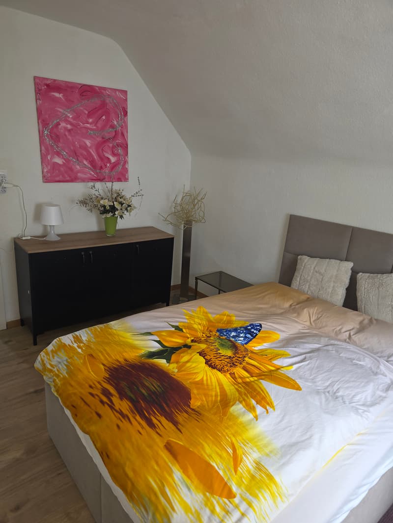 WG-Zimmer in Zurich (4)