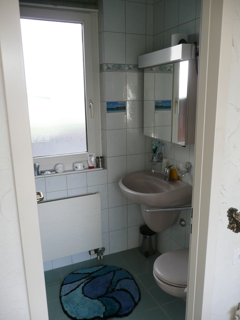 WG-Zimmer in Emmenbrücke (5)