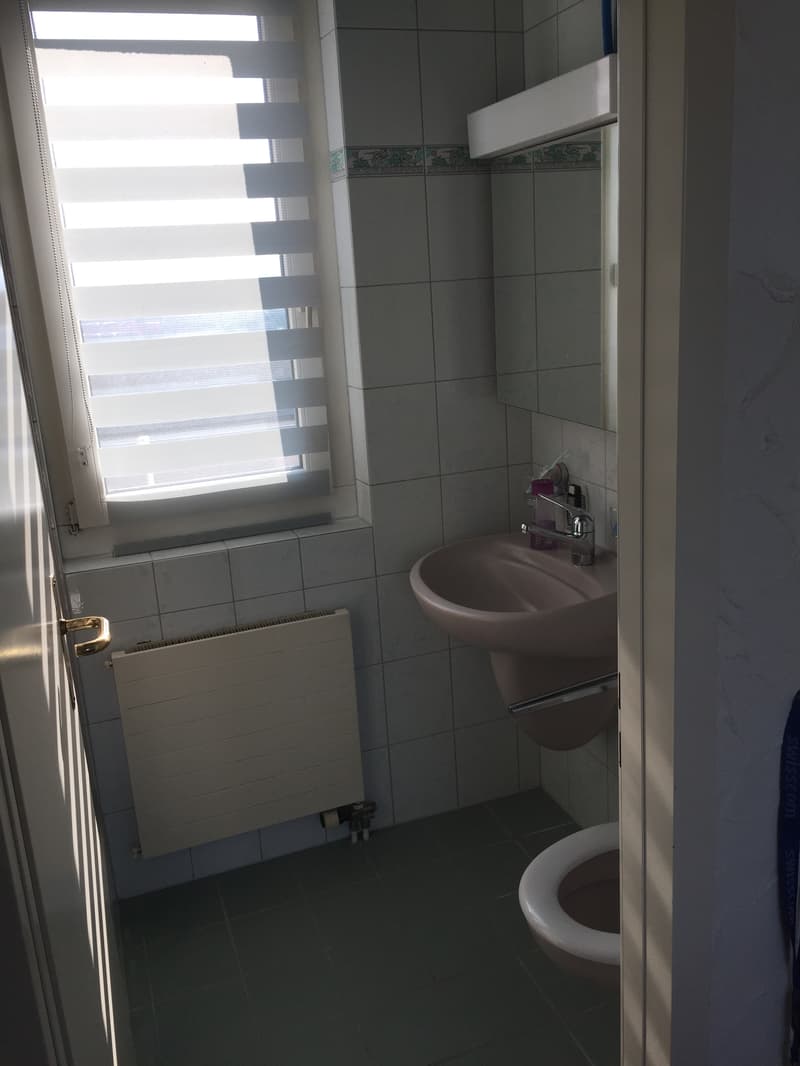 WG-Zimmer in Emmenbrücke (3)