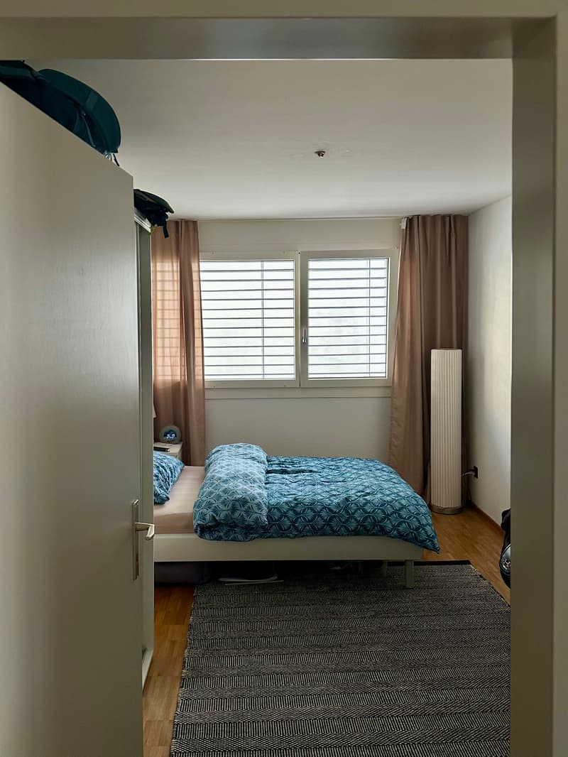 WG-Zimmer in Luzern (8)