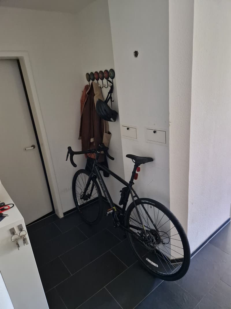 Möblierte Wohnung in Zürich (4)