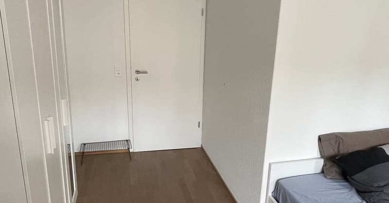 Möblierte Wohnung in Zürich (3)