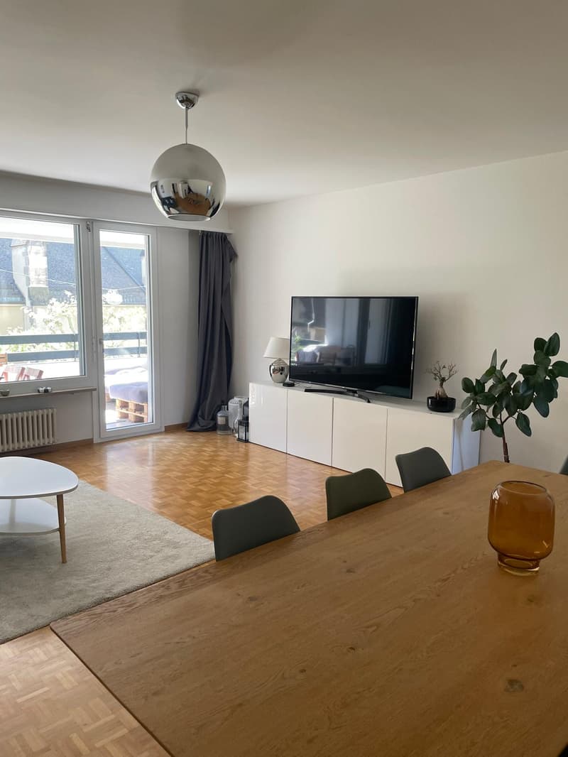 Room in shared flat in Basel (4)