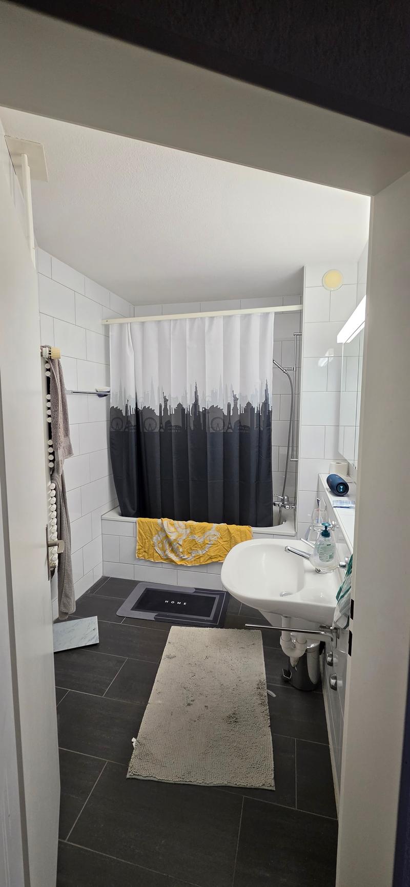 WG-Zimmer in Bern (8)