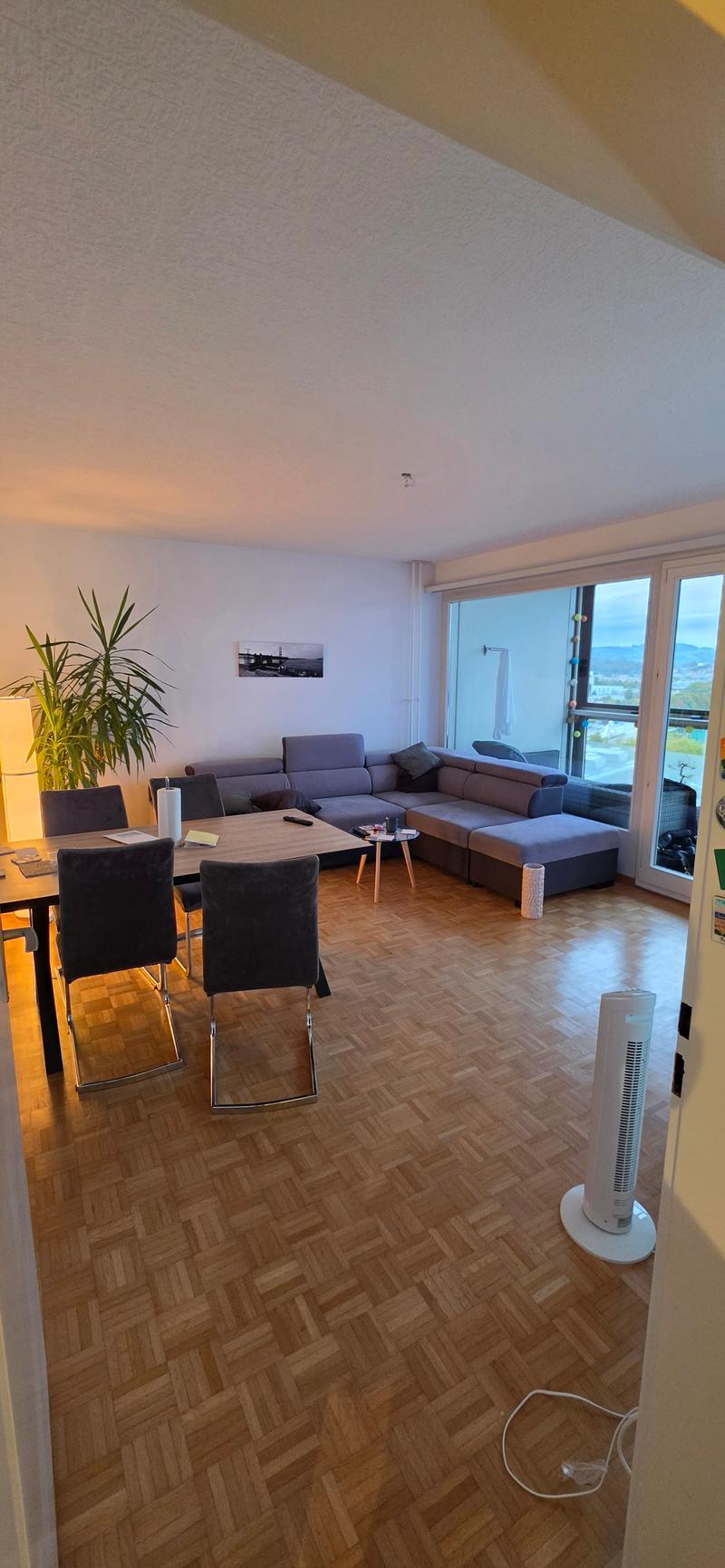 WG-Zimmer in Bern (10)