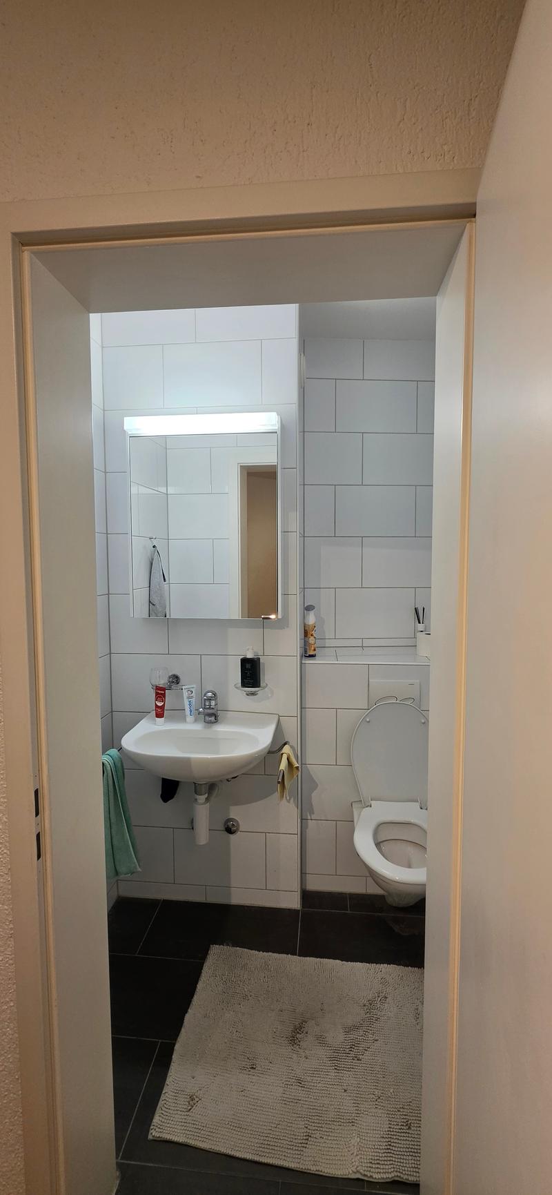 WG-Zimmer in Bern (3)