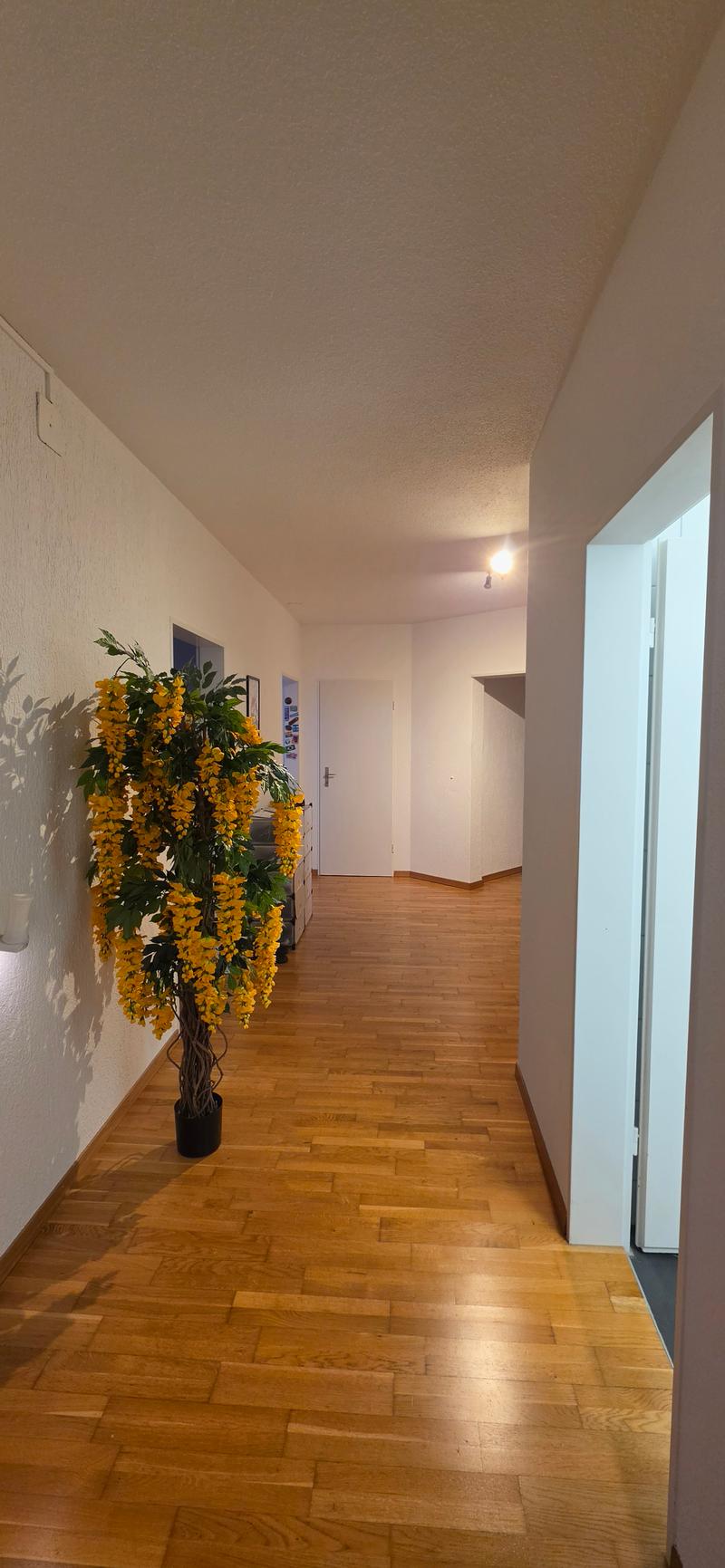 WG-Zimmer in Bern (5)