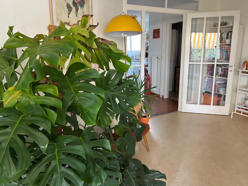 Room in shared flat in Zürich (3)