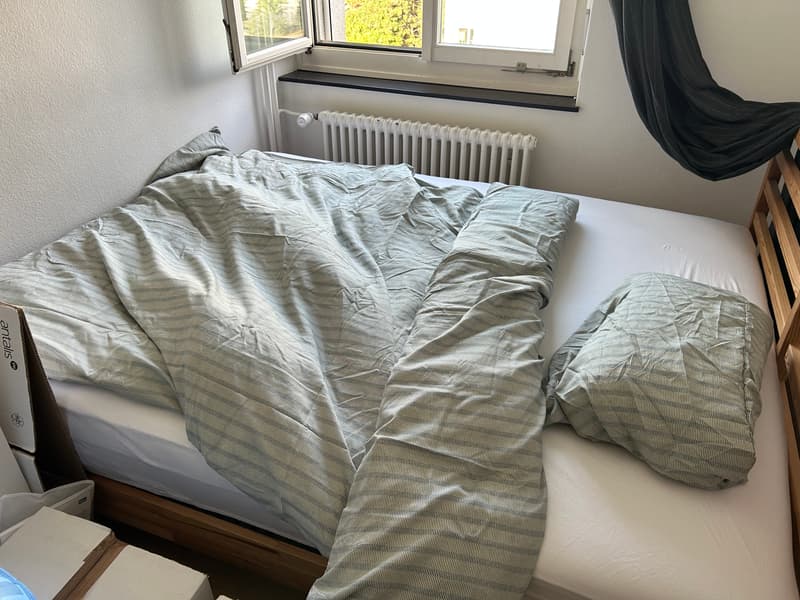 Room in shared flat in Zürich (2)